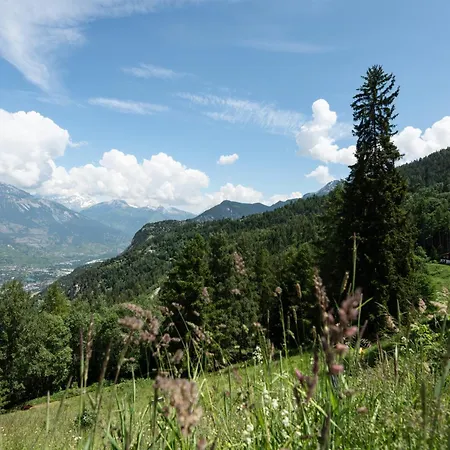 Feriehus Les Tsablos- Mayen-maiensaess In Vercorin, Valais